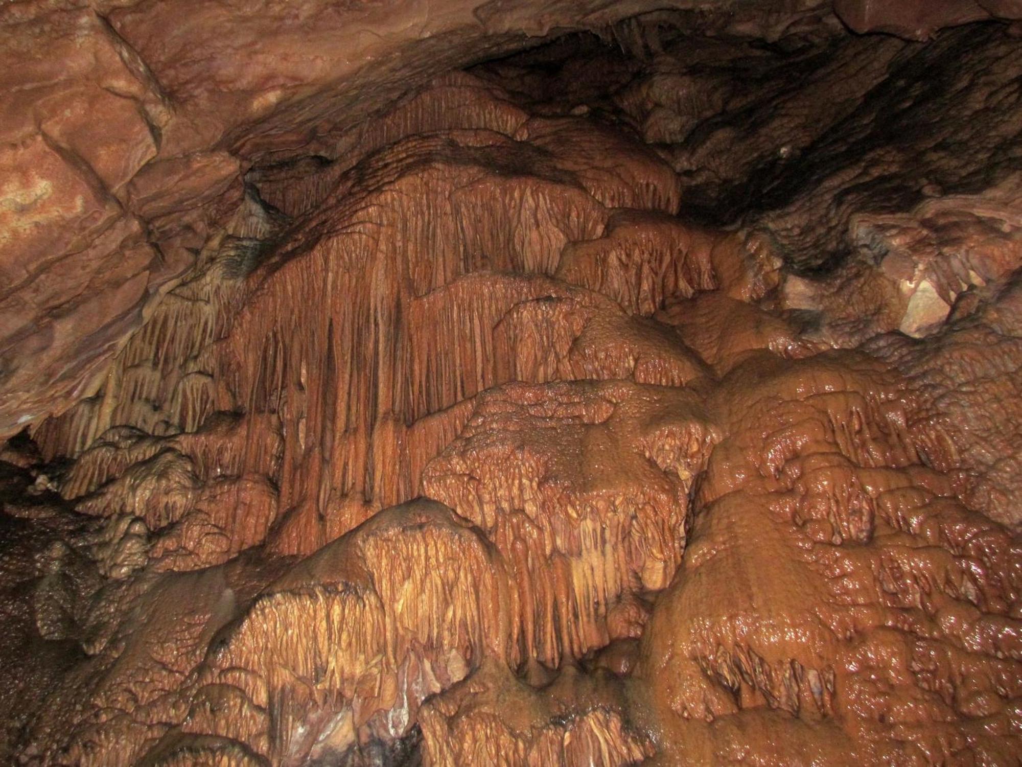 Pension Na Meji Pivka Bagian luar foto