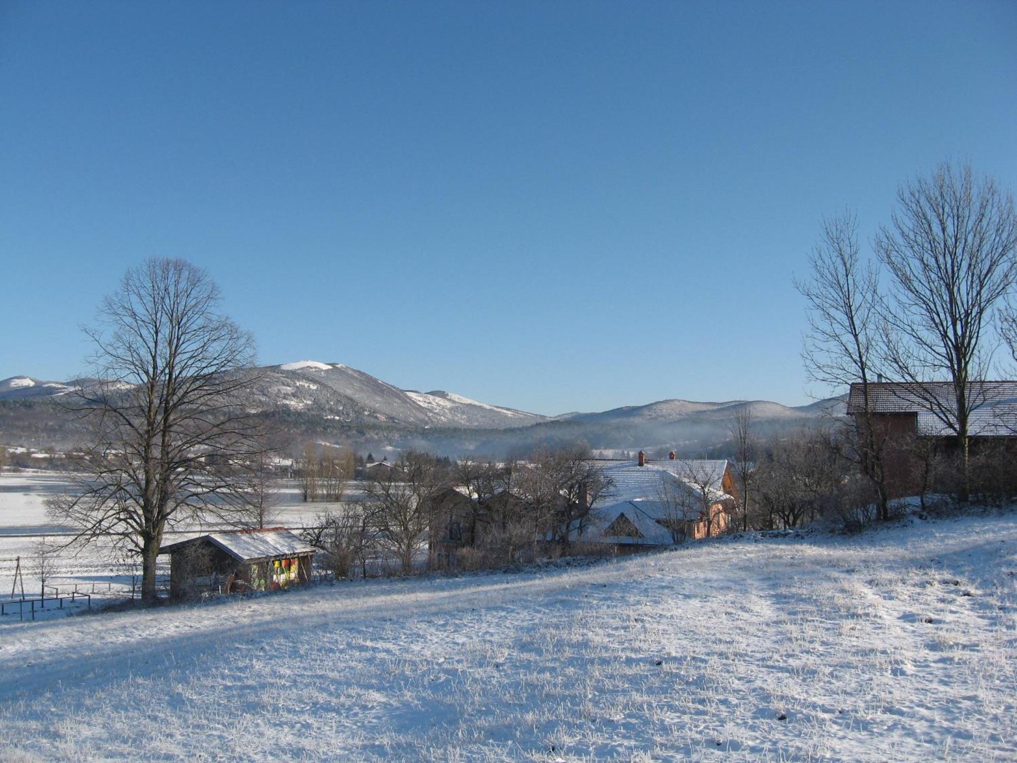 Pension Na Meji Pivka Bagian luar foto