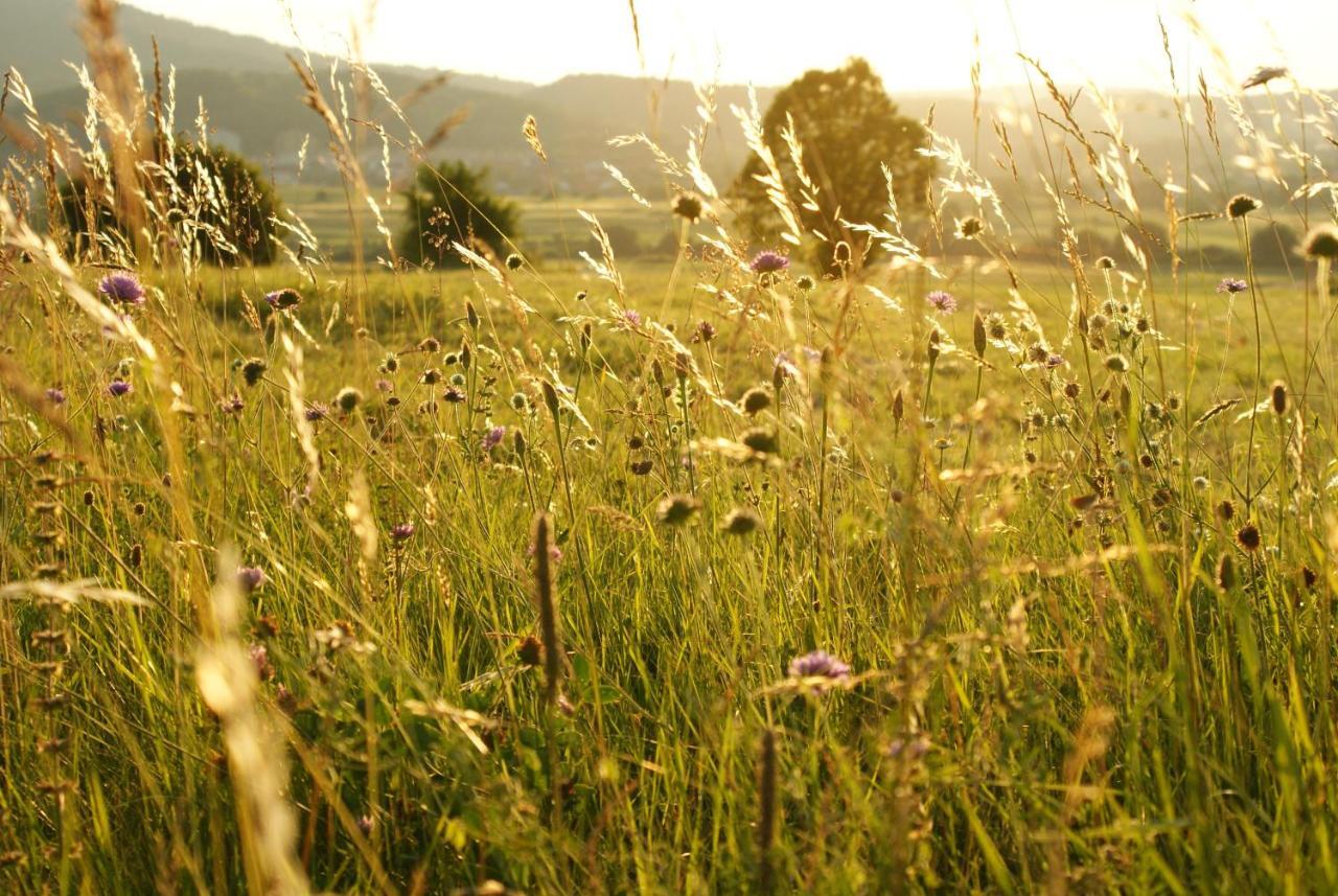 Pension Na Meji Pivka Bagian luar foto
