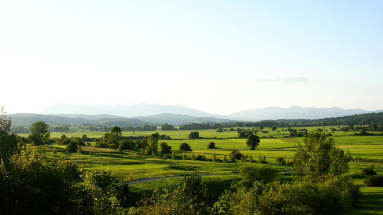 Pension Na Meji Pivka Bagian luar foto